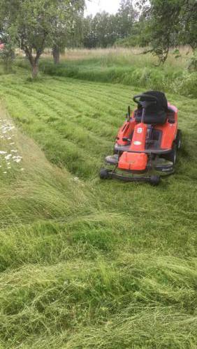 Langer Rasen will gemäht werden